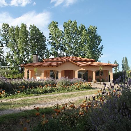Casona Aventurados Βίλα Lujan de Cuyo Εξωτερικό φωτογραφία