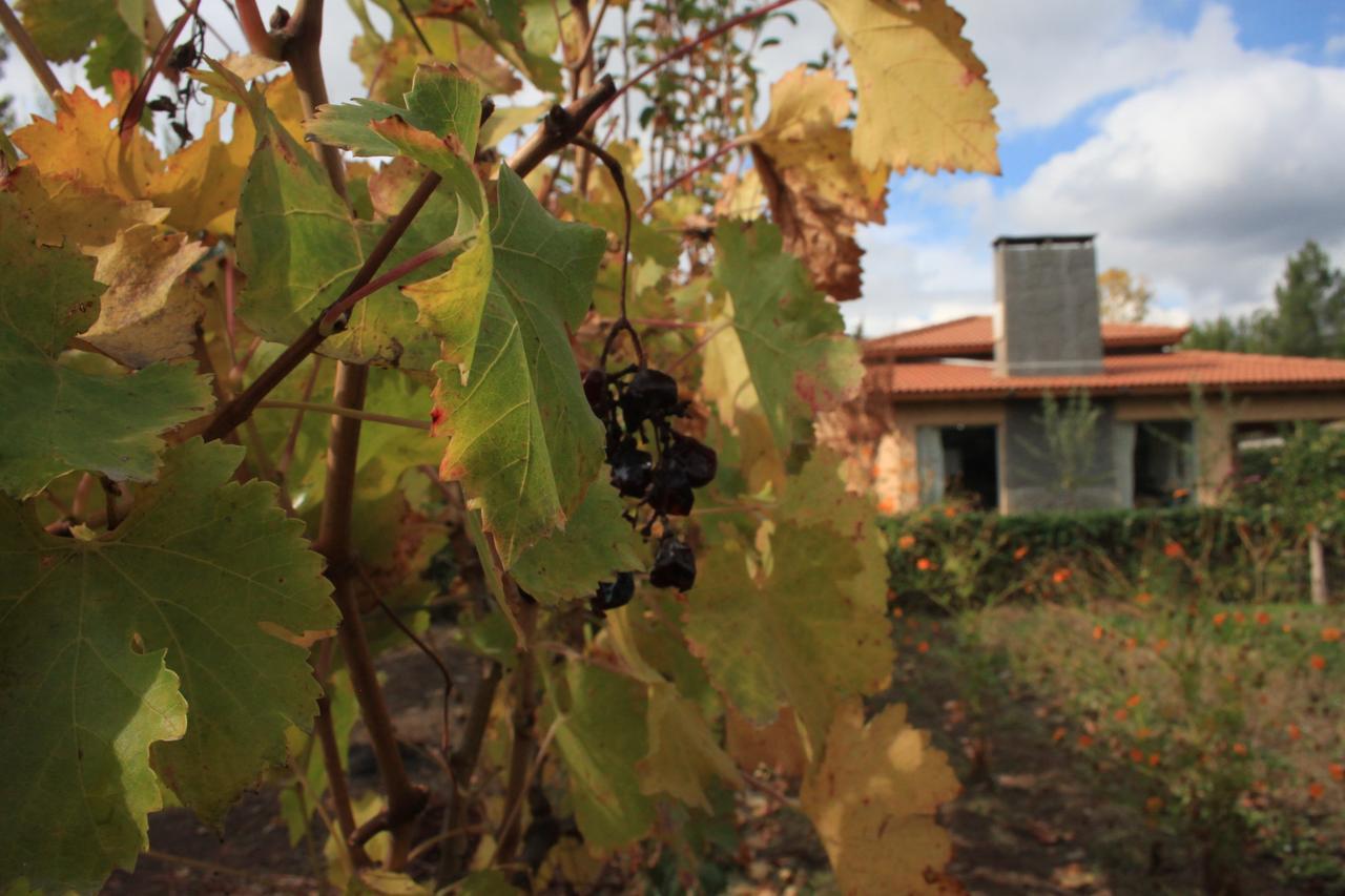 Casona Aventurados Βίλα Lujan de Cuyo Εξωτερικό φωτογραφία